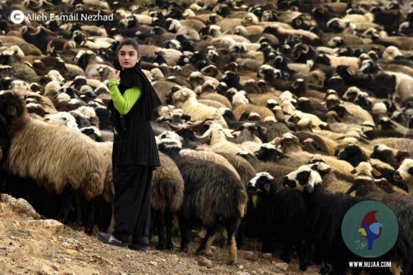 عالیه اسمعیل نژاد