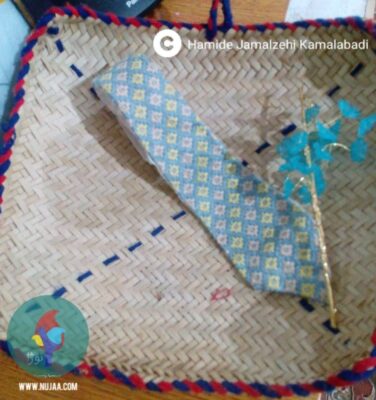 حمیده جمالزهی کمال آبادی