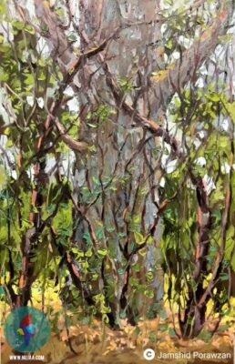 جمشید پراوزان