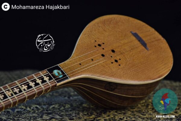 محمدرضا حاج اکبری