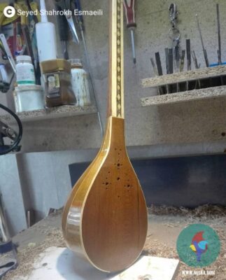 سید شاهرخ اسماعیلی