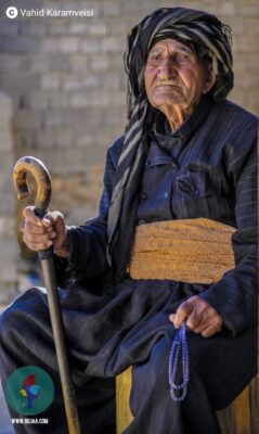 وحید کرم ویسی