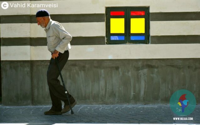 وحید کرم ویسی