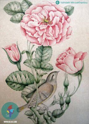 وحیده میرزاخانلو