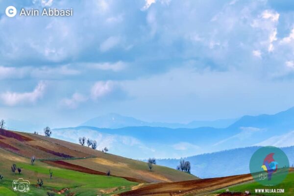 ئه‌وین عباسی