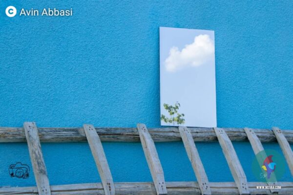 ئه‌وین عباسی