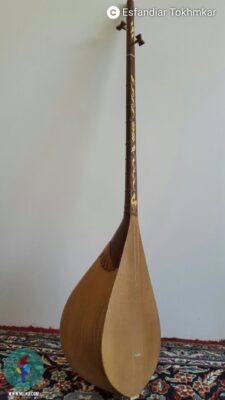 اسفندیار تخمکار علیایی