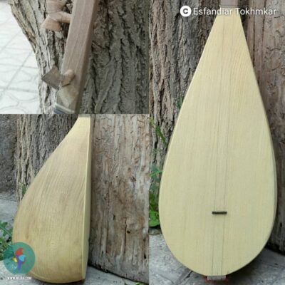 اسفندیار تخمکار علیایی