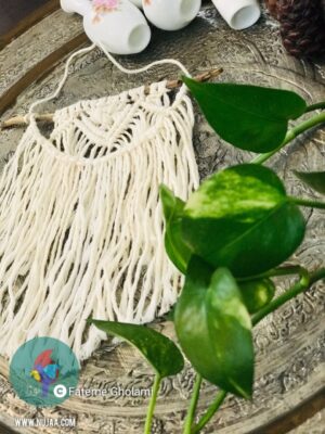 فاطمه غلامی