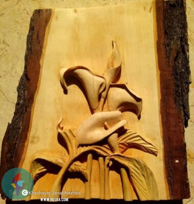 خشایار جنتی نژاد