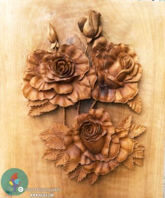 نوید مشایخی