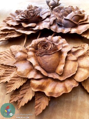 نوید مشایخی