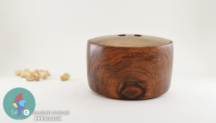 روزبه ارشدی