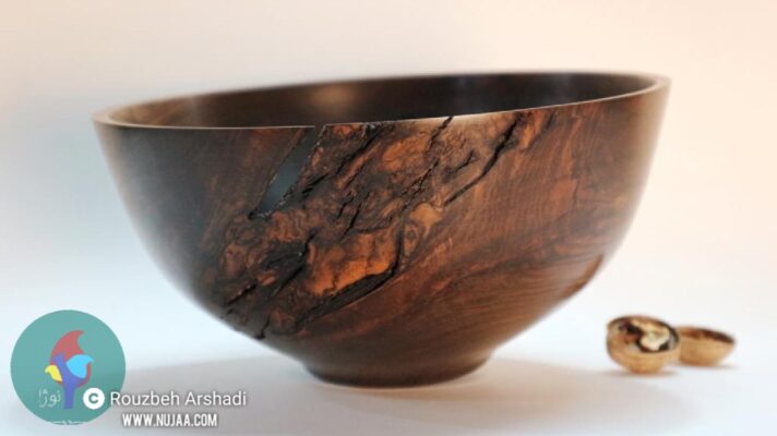 روزبه ارشدی