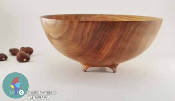 روزبه ارشدی