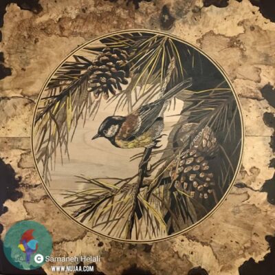 سمانه هلالی