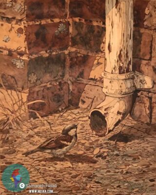 سمانه هلالی