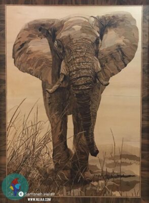 سمانه هلالی