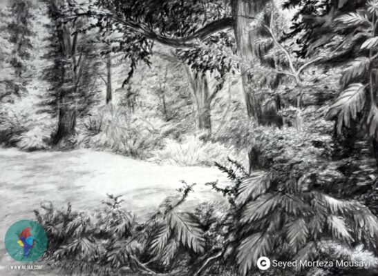 سید مرتضی موسوی