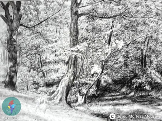 سید مرتضی موسوی