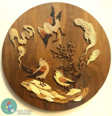 تکتم یزدانی