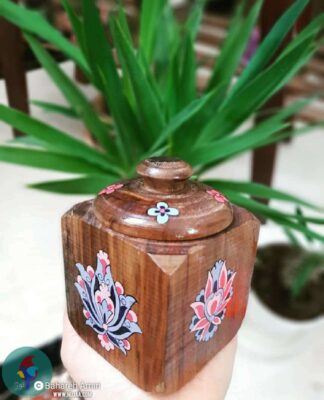 بهاره امیری