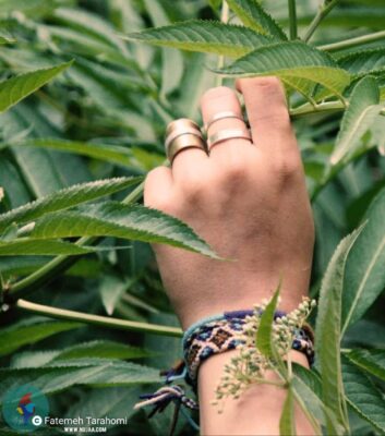 فاطمه ترحمی