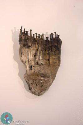 منیرا رفعت نژاد