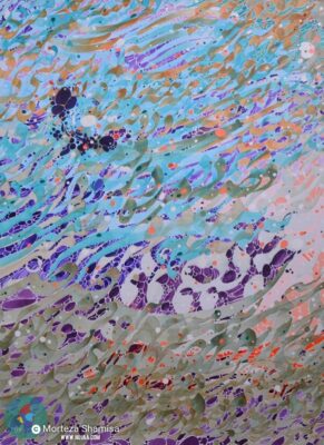 مرتضی شمیسا