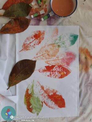 فائزه فلاحتی پور