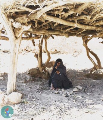 میترا محمدی