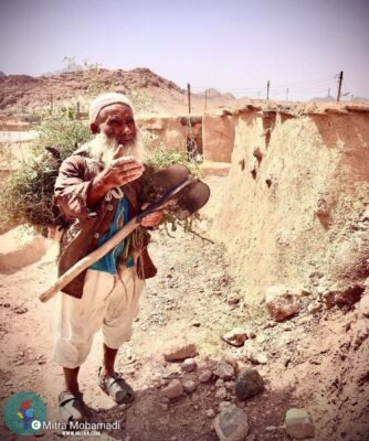 میترا محمدی