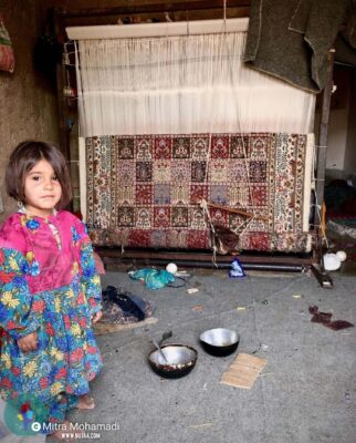 میترا محمدی