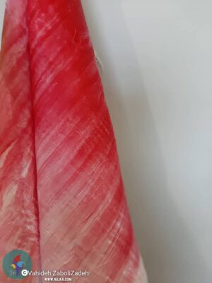 وحیده زابلی زاده