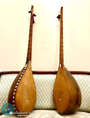 عبدالقادر افضلی