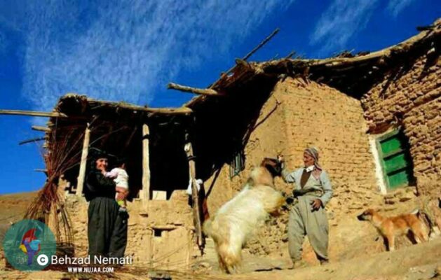 بهزاد نعمتی