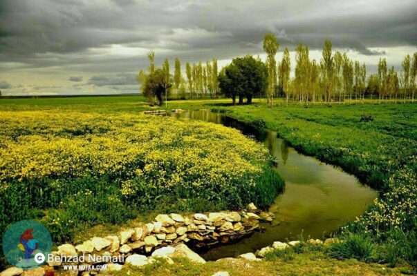 بهزاد نعمتی