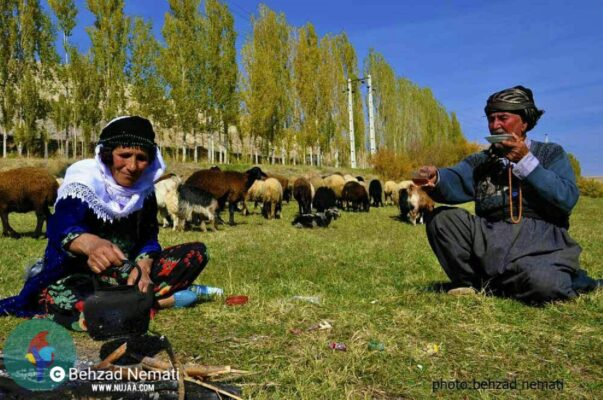 بهزاد نعمتی