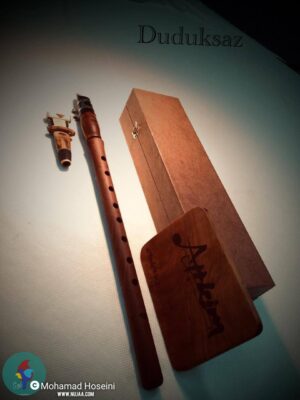 سید محمد حسینی