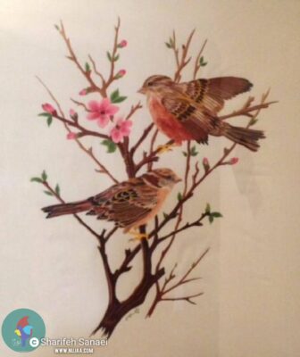 شریفه سنایی