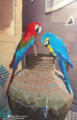 شریفه سنایی