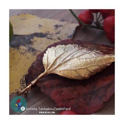 سهیلا تنباکوزاده فرد