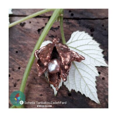 سهیلا تنباکوزاده فرد