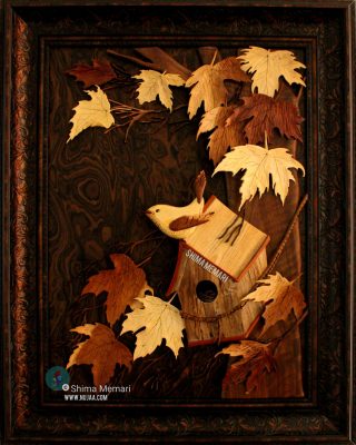 شیما معماری