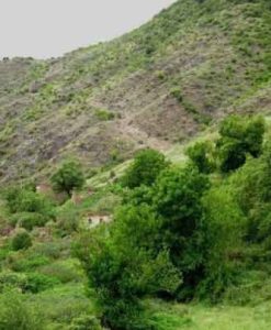 تپه سراب گرگین بیجار